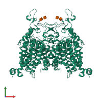 Homo dimeric assembly 1 of PDB entry 8wo7 coloured by chemically distinct molecules, front view.