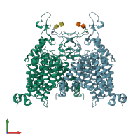 PDB entry 8wo7 coloured by chain, front view.