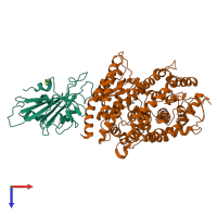 PDB entry 8wox coloured by chain, top view.