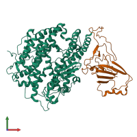 PDB entry 8woz coloured by chain, front view.