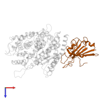 Spike protein S1 in PDB entry 8woz, assembly 1, top view.