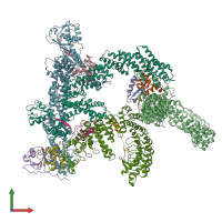 PDB entry 8wqb coloured by chain, front view.