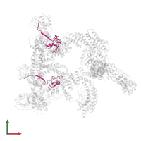 E3 ubiquitin-protein ligase RBX1, N-terminally processed in PDB entry 8wqb, assembly 1, front view.
