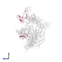 E3 ubiquitin-protein ligase RBX1, N-terminally processed in PDB entry 8wqb, assembly 1, side view.