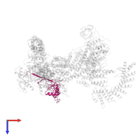 E3 ubiquitin-protein ligase RBX1, N-terminally processed in PDB entry 8wqb, assembly 1, top view.