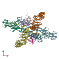 PDB entry 8wqe coloured by chain, front view.