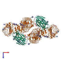 Hetero tetrameric assembly 1 of PDB entry 8wry coloured by chemically distinct molecules, top view.