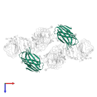 Lymphocyte antigen 96 in PDB entry 8wry, assembly 1, top view.