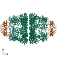 Hetero 28-meric assembly 1 of PDB entry 8wuc coloured by chemically distinct molecules, front view.