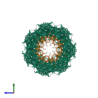 Hetero 28-meric assembly 1 of PDB entry 8wuc coloured by chemically distinct molecules, side view.