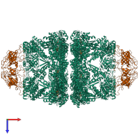 Hetero 28-meric assembly 1 of PDB entry 8wuc coloured by chemically distinct molecules, top view.