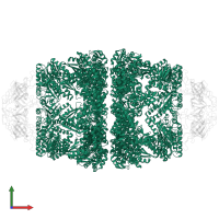 Chaperonin GroEL in PDB entry 8wuc, assembly 1, front view.