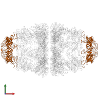 Co-chaperonin GroES in PDB entry 8wuc, assembly 1, front view.