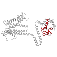 The deposited structure of PDB entry 8wui contains 4 copies of Pfam domain PF00027 (Cyclic nucleotide-binding domain) in Potassium channel SKOR. Showing 1 copy in chain B [auth A].