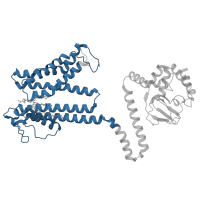 The deposited structure of PDB entry 8wui contains 4 copies of Pfam domain PF00520 (Ion transport protein) in Potassium channel SKOR. Showing 1 copy in chain B [auth A].