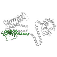 The deposited structure of PDB entry 8wui contains 4 copies of Pfam domain PF07885 (Ion channel) in Potassium channel SKOR. Showing 1 copy in chain B [auth A].