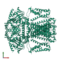 Potassium channel SKOR in PDB entry 8wui, assembly 1, front view.