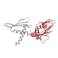 The deposited structure of PDB entry 8x6f contains 2 copies of Pfam domain PF01000 (RNA polymerase Rpb3/RpoA insert domain) in DNA-directed RNA polymerase subunit alpha. Showing 1 copy in chain A.