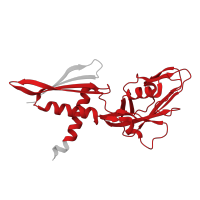 The deposited structure of PDB entry 8x6f contains 2 copies of Pfam domain PF01193 (RNA polymerase Rpb3/Rpb11 dimerisation domain) in DNA-directed RNA polymerase subunit alpha. Showing 1 copy in chain A.