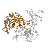 The deposited structure of PDB entry 8x6f contains 1 copy of Pfam domain PF04563 (RNA polymerase beta subunit) in DNA-directed RNA polymerase subunit beta. Showing 1 copy in chain C.