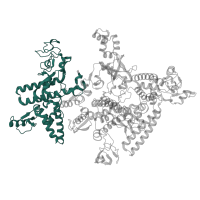 The deposited structure of PDB entry 8x6f contains 1 copy of Pfam domain PF04997 (RNA polymerase Rpb1, domain 1) in DNA-directed RNA polymerase subunit beta'. Showing 1 copy in chain D.