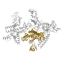 The deposited structure of PDB entry 8x6f contains 1 copy of Pfam domain PF04998 (RNA polymerase Rpb1, domain 5) in DNA-directed RNA polymerase subunit beta'. Showing 1 copy in chain D.