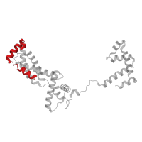 The deposited structure of PDB entry 8x6f contains 1 copy of Pfam domain PF00140 (Sigma-70 factor, region 1.2) in RNA polymerase sigma factor SigA. Showing 1 copy in chain G [auth E].
