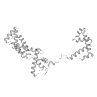 The deposited structure of PDB entry 8x6f contains 1 copy of Pfam domain PF03979 (Sigma-70 factor, region 1.1) in RNA polymerase sigma factor SigA. Showing 1 copy in chain G [auth E] (this domain is out of the observed residue ranges!).