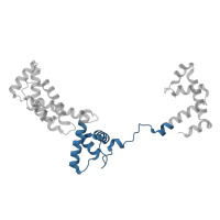 The deposited structure of PDB entry 8x6f contains 1 copy of Pfam domain PF04539 (Sigma-70 region 3) in RNA polymerase sigma factor SigA. Showing 1 copy in chain G [auth E].