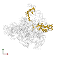 RNA polymerase sigma factor SigA in PDB entry 8x6f, assembly 1, front view.