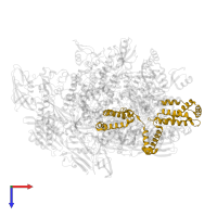 RNA polymerase sigma factor SigA in PDB entry 8x6f, assembly 1, top view.