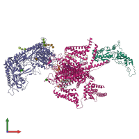PDB entry 8x91 coloured by chain, front view.