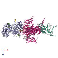 PDB entry 8x91 coloured by chain, top view.
