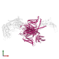 Voltage-dependent P/Q-type calcium channel subunit alpha-1A in PDB entry 8x91, assembly 1, front view.