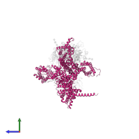 Voltage-dependent P/Q-type calcium channel subunit alpha-1A in PDB entry 8x91, assembly 1, side view.