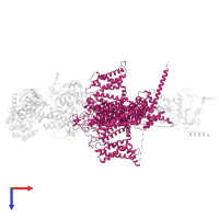 Voltage-dependent P/Q-type calcium channel subunit alpha-1A in PDB entry 8x91, assembly 1, top view.