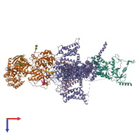 Hetero trimeric assembly 1 of PDB entry 8x93 coloured by chemically distinct molecules, top view.