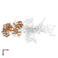 Voltage-dependent calcium channel subunit alpha-2/delta-1 in PDB entry 8x93, assembly 1, top view.