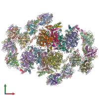 PDB entry 8xlp coloured by chain, front view.