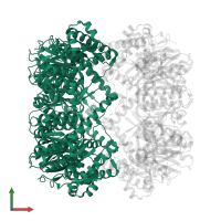 ATP-dependent Clp protease proteolytic subunit in PDB entry 8xn4, assembly 1, front view.