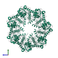 ATP-dependent Clp protease proteolytic subunit in PDB entry 8xn4, assembly 1, side view.