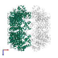 ATP-dependent Clp protease proteolytic subunit in PDB entry 8xn4, assembly 1, top view.