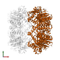 ATP-dependent Clp protease proteolytic subunit in PDB entry 8xn4, assembly 1, front view.