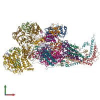 PDB entry 8xnx coloured by chain, front view.