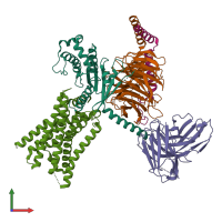Hetero pentameric assembly 1 of PDB entry 8xog coloured by chemically distinct molecules, front view.