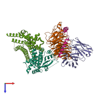 Hetero pentameric assembly 1 of PDB entry 8xog coloured by chemically distinct molecules, top view.