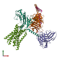 PDB entry 8xog coloured by chain, front view.