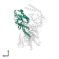 Guanine nucleotide-binding protein G(i) subunit alpha-1 in PDB entry 8xog, assembly 1, side view.