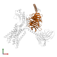 Guanine nucleotide-binding protein G(I)/G(S)/G(T) subunit beta-1 in PDB entry 8xog, assembly 1, front view.