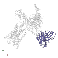 scFv16 in PDB entry 8xog, assembly 1, front view.